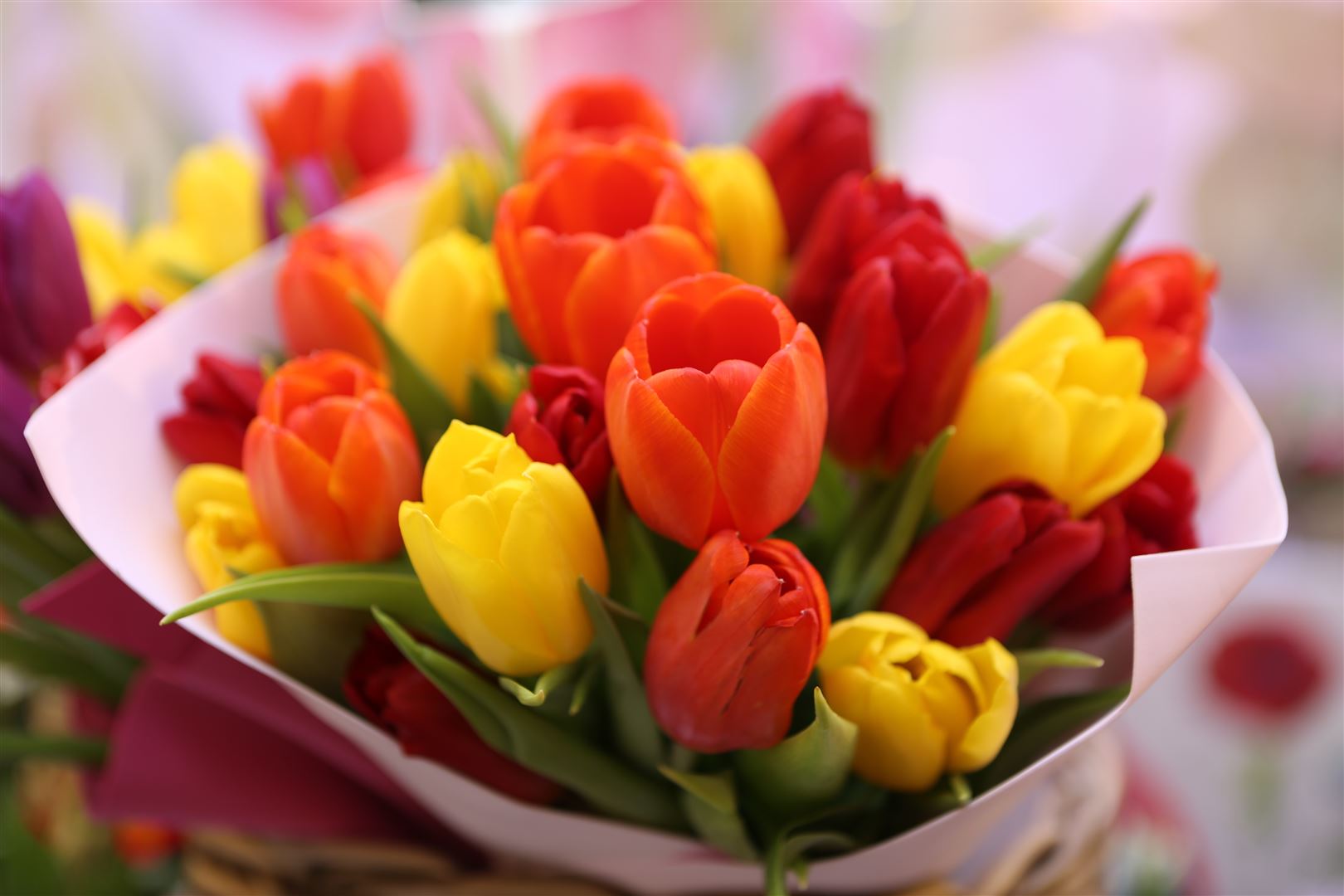 Blumen und Pflanzen